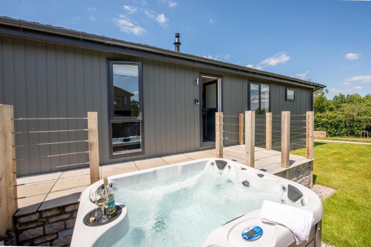 Buttercup Lodge, 33 Roadford Lake Lodges Lifton Zewnętrze zdjęcie